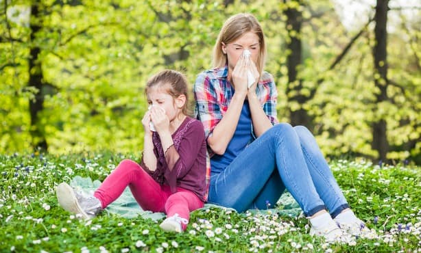 Allergies in the Netherlands: when and what?