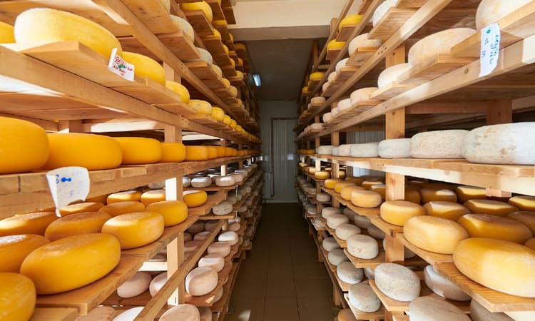 Your guide to the delicious (and confusing) world of Dutch cheeses