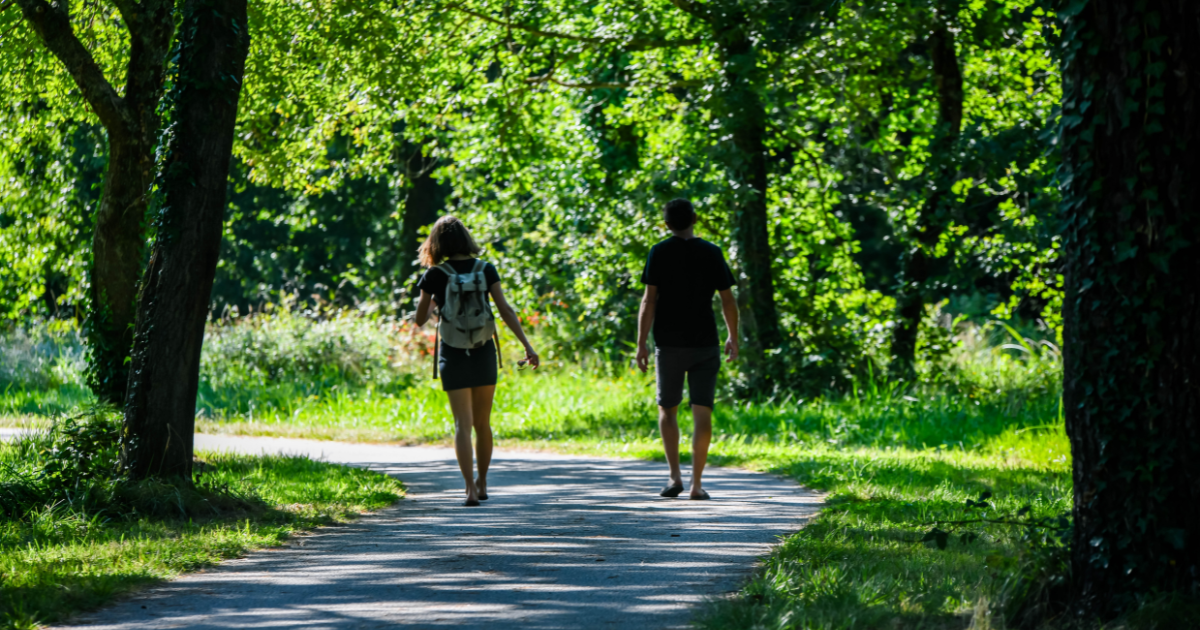 First forest bus stop in the Netherlands opens in Utrecht