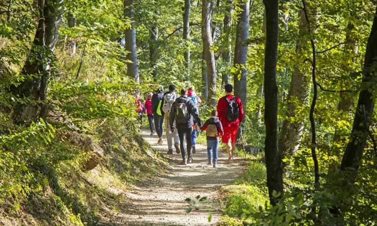 10 tips for preparing for a safe day’s hike