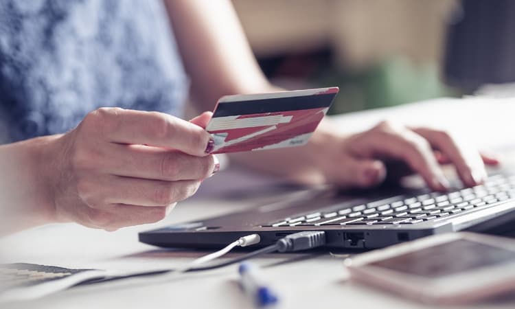 8 in 10 Dutch internet users shop online