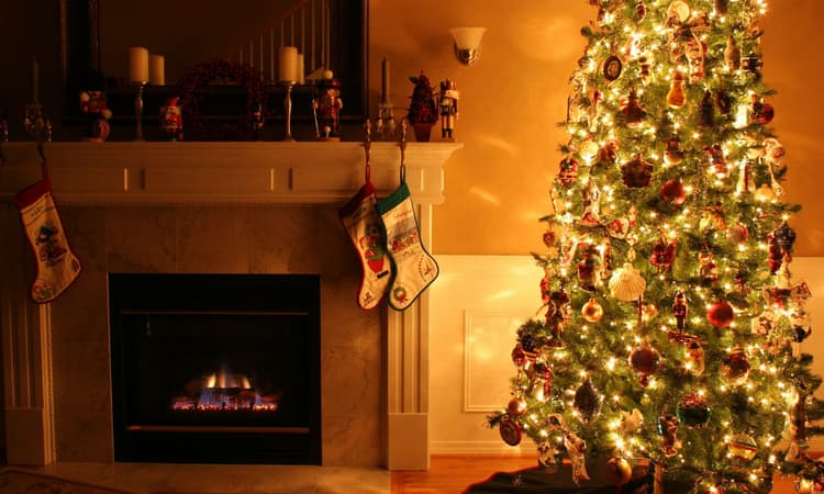 Your Christmas tree could be one of the 500.000 plus at this Dutch airport