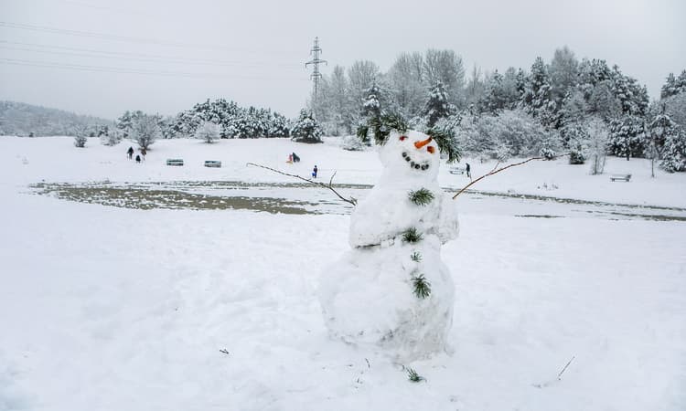 A suspicious snowman: Amsterdam police investigate ‘lifeless body’