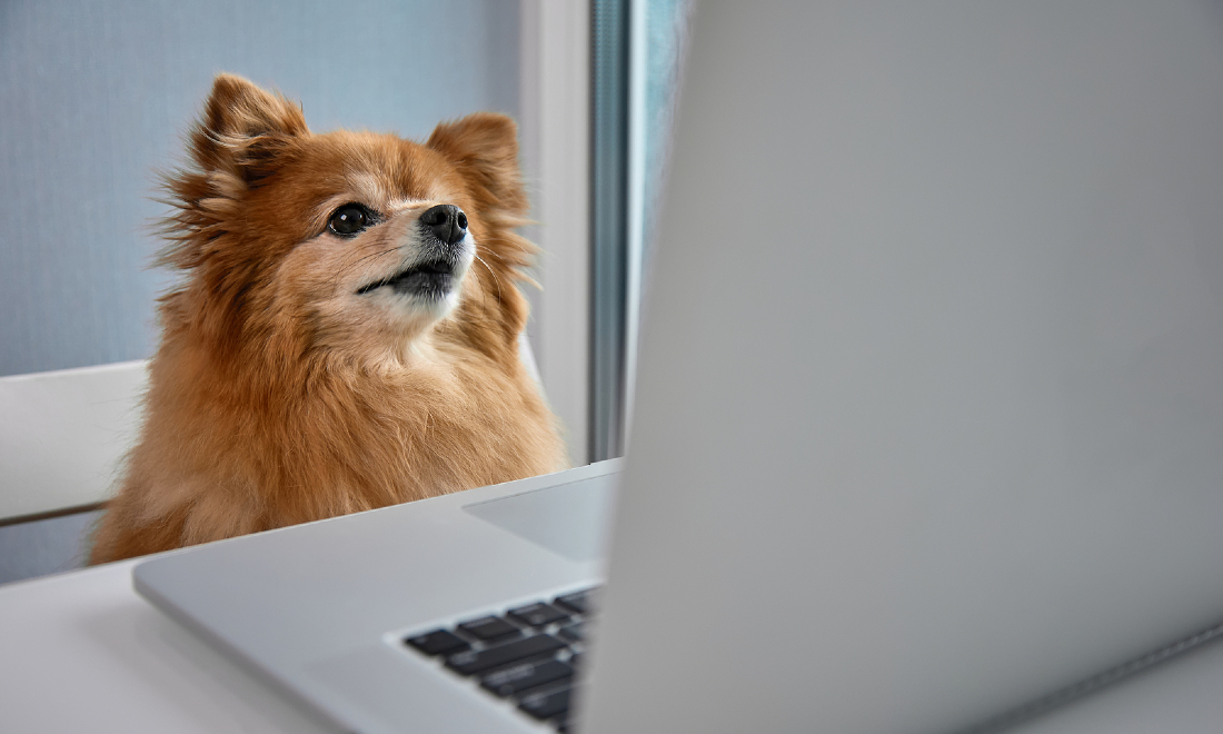 The 10 most German things to happen in Germany in 2022