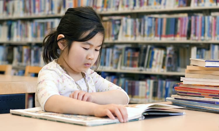 Children leaving schools in the Netherlands functionally illiterate 