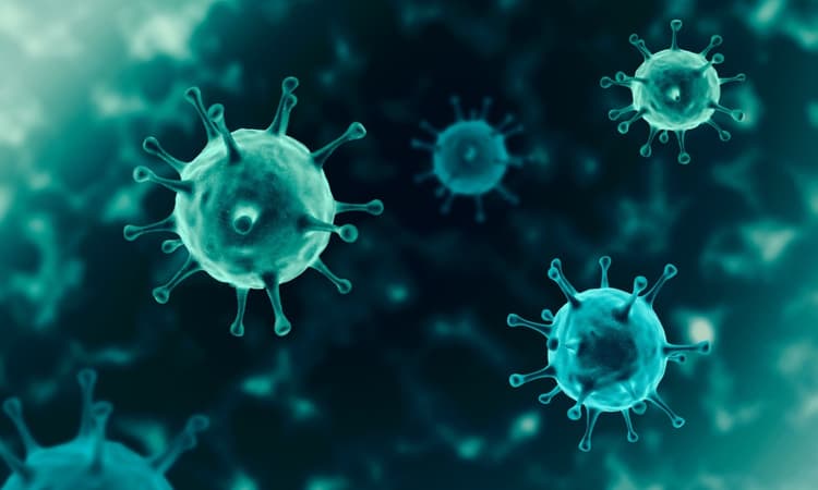 Coronavirus (COVID-19) in the Netherlands
