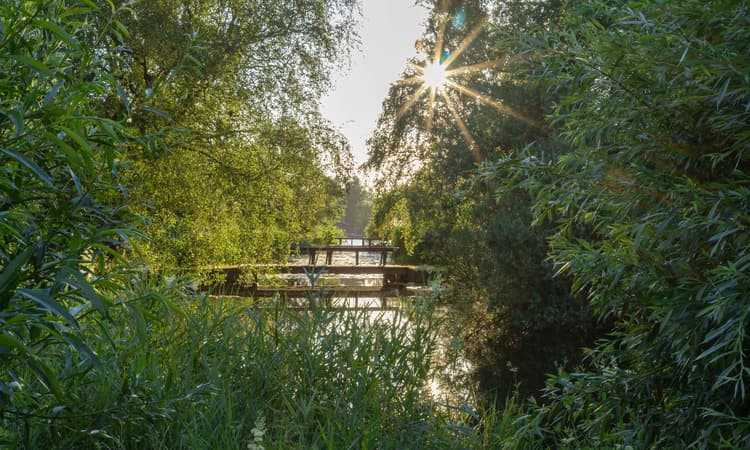 8 best parks in Amsterdam