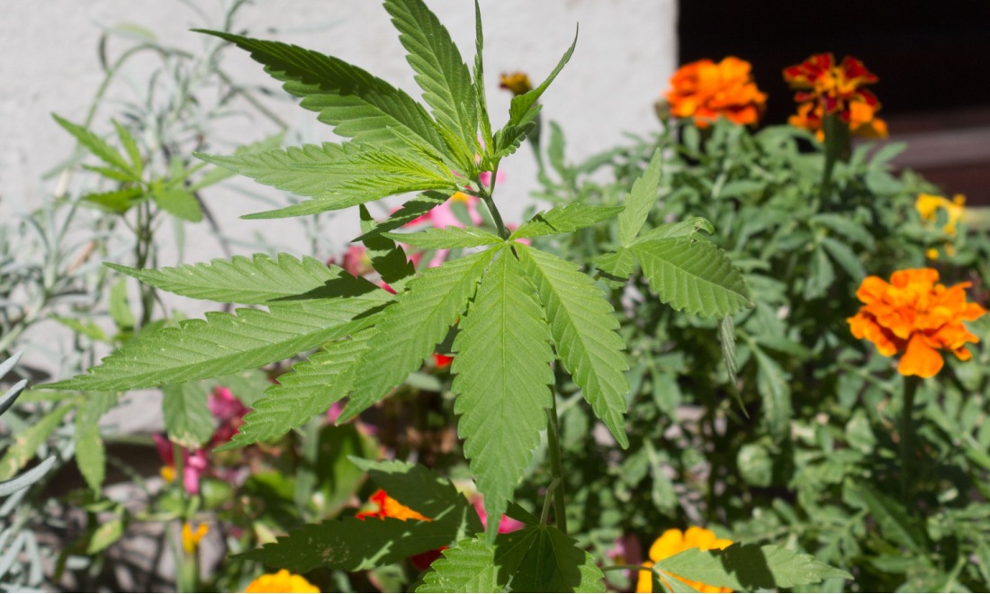 April 2024: 10 changes affecting expats in Germany