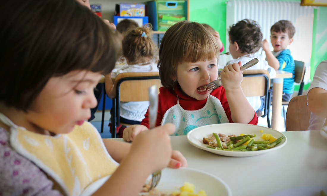 German citizens’ council backs free lunches for all schoolchildren