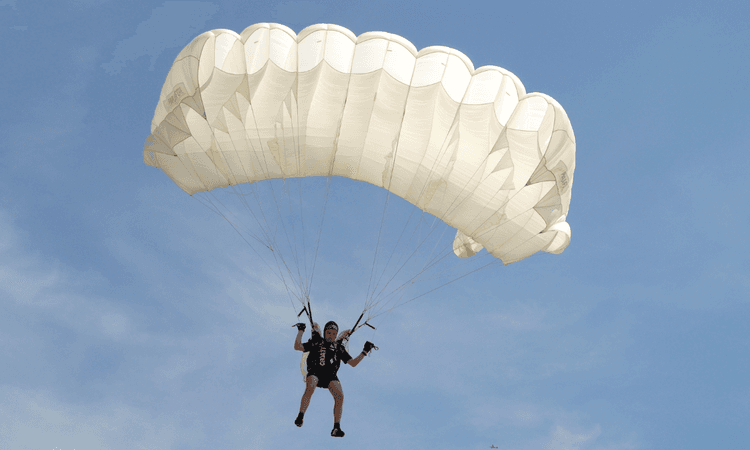 Parachutist accidentally lands in monkey enclosure of Dutch zoo