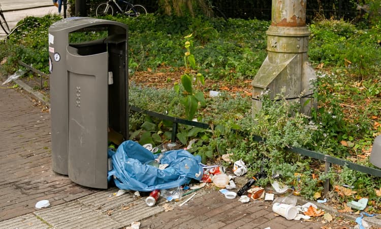 Amsterdam battling increase in rubbish, city looking to take action 