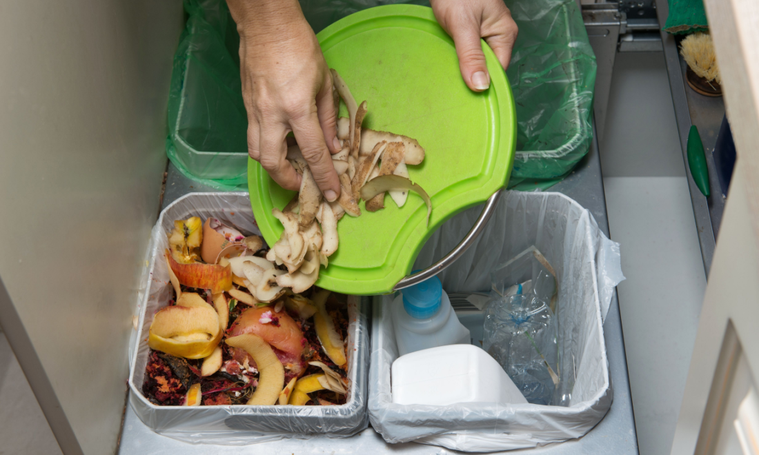 Germany to change Biomüll disposal rules from May