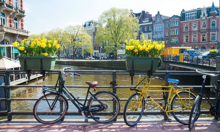 [Video] The BEST things to do in Amsterdam