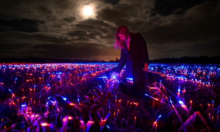 An homage to the beauty of agriculture: Dutch designer creates futuristic dreamscape