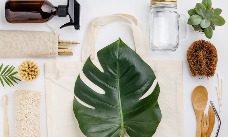 5 apps to help you lead a more sustainable life in the Netherlands