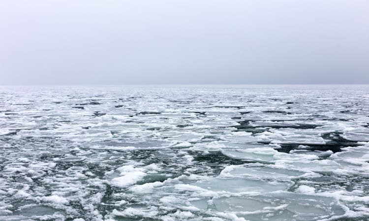 Dutch art from the Ice Age discovered in the North Sea