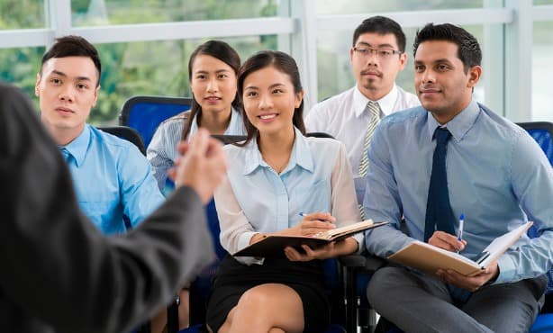Insights from a Dutch language coach