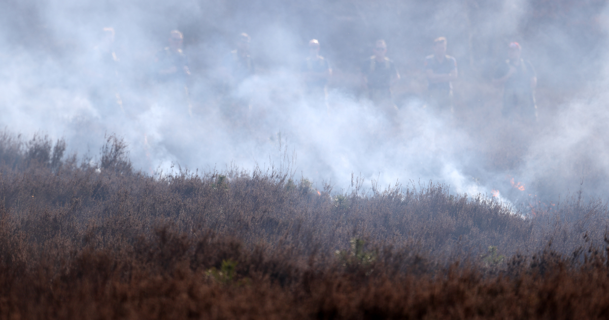 NL-Alert and trains cancelled as wildfire in Limburg spreads over 100 hectares