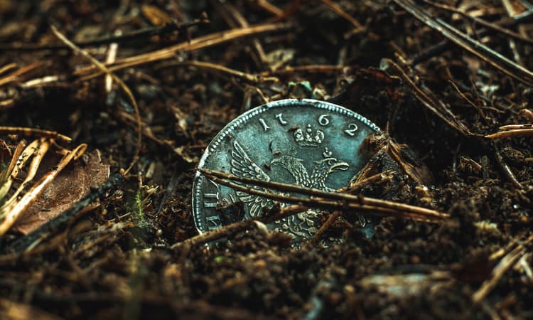 Centuries-old coins discovered at farm in Eindhoven 
