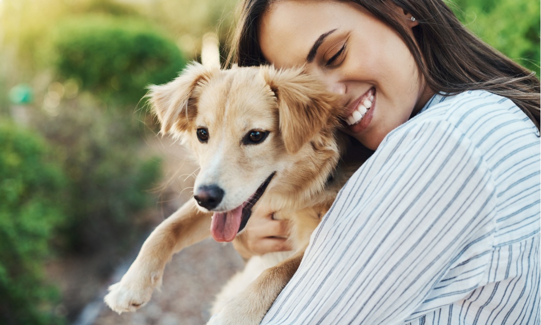 What to be aware of as a dog owner in Germany