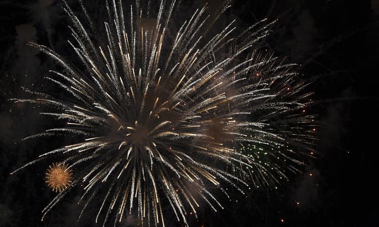 Amsterdam municipality cancels New Year’s fireworks shows