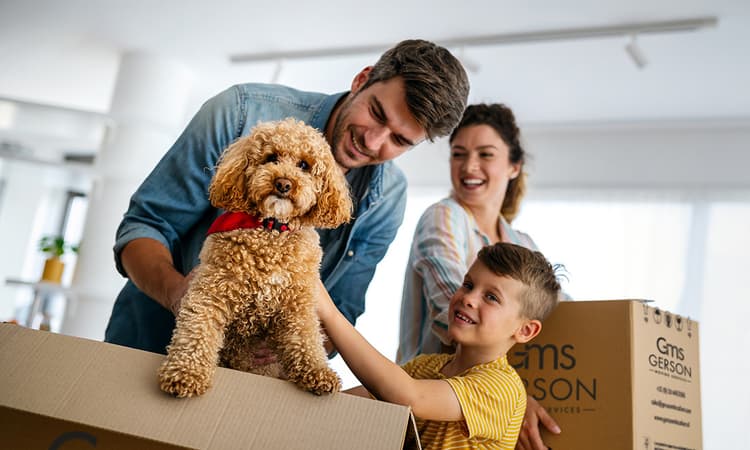 Gerson Moving Services: Make your international move cost-effective 