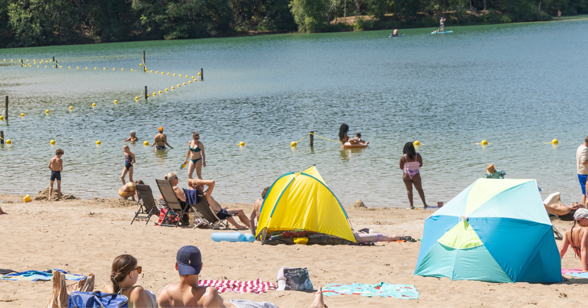 All Dutch outdoor swimming spots are chemically polluted, study finds