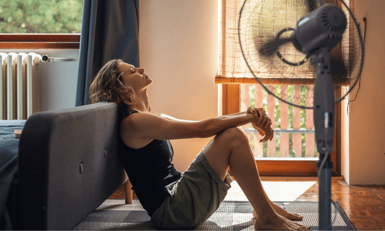 34 percent of Dutch households struggle to cool their homes during heatwaves