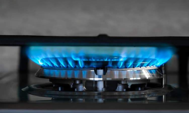 The Netherlands to stop using Russian gas by the end of the year