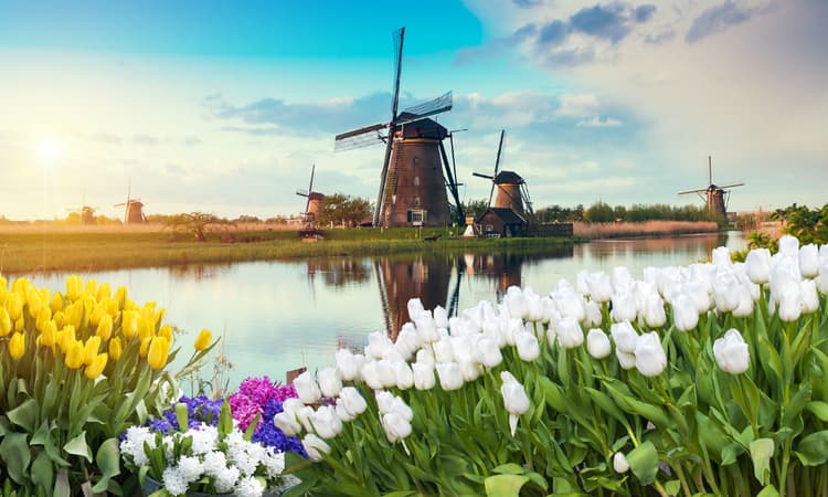 [Quiz] How Dutch are you?