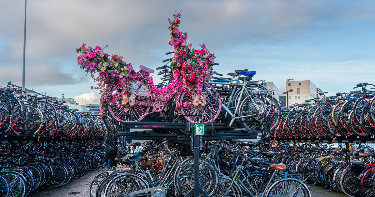 Things Netherlands Does Best