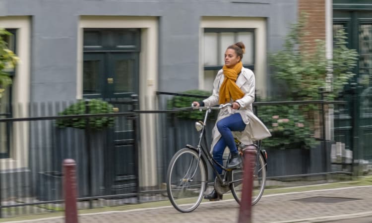 Learn Dutch at your own pace with The Language Academy