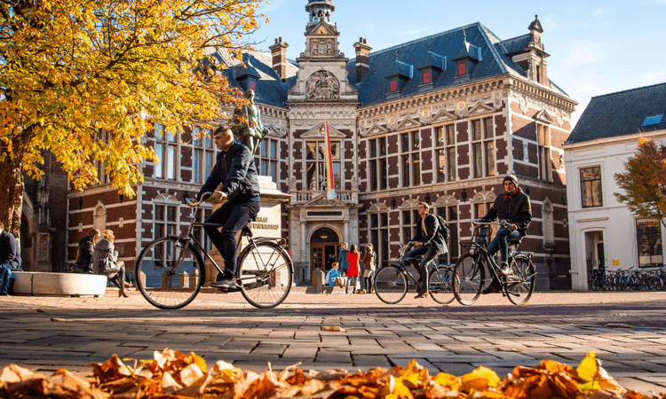 Dutch government criticised for plans to reduce international student numbers