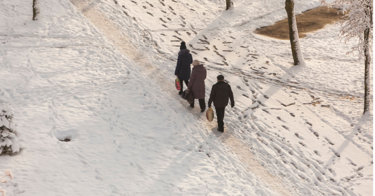 Every third international wants to leave Germany, DeZIM study finds