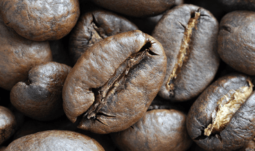 Nearly half the coffee consumed in the Netherlands sustainably produced