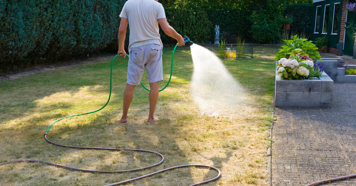 Amsterdam and Utrecht face daytime water ban amid drought 