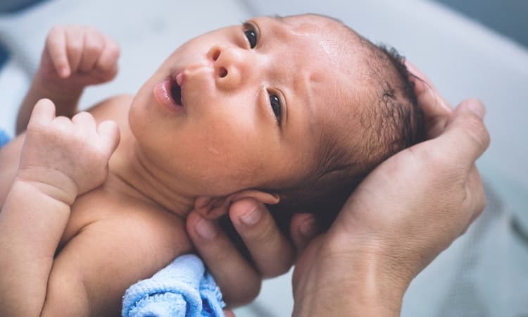 The Netherlands records highest number of births in 10 years