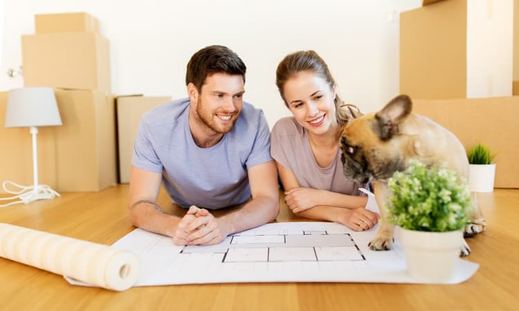 Should you rent or buy property in the Netherlands?