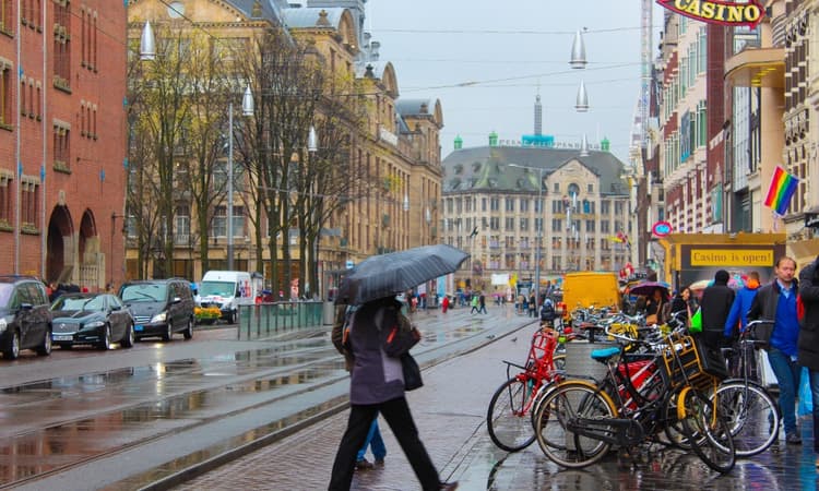 First 6 months of 2024 were the wettest on record in the Netherlands