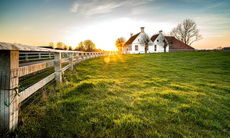 This spring in the Netherlands has been the sunniest on record