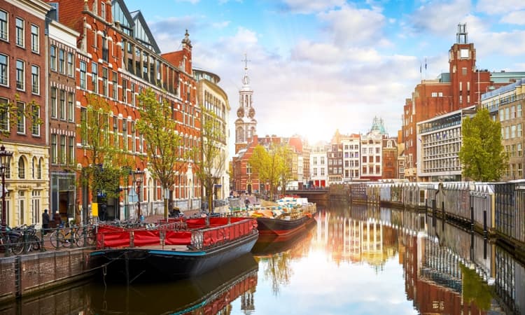 A step-by-step guide to securing a DAFT visa for American expats 