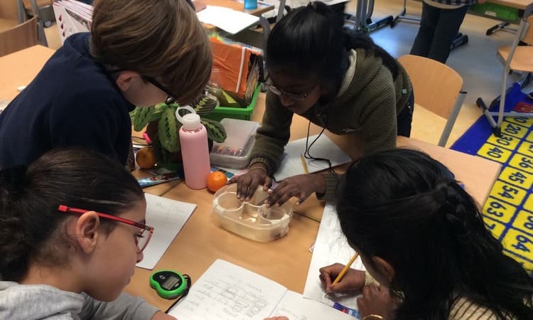 Developing lifelong learners at the HSV International Primary School