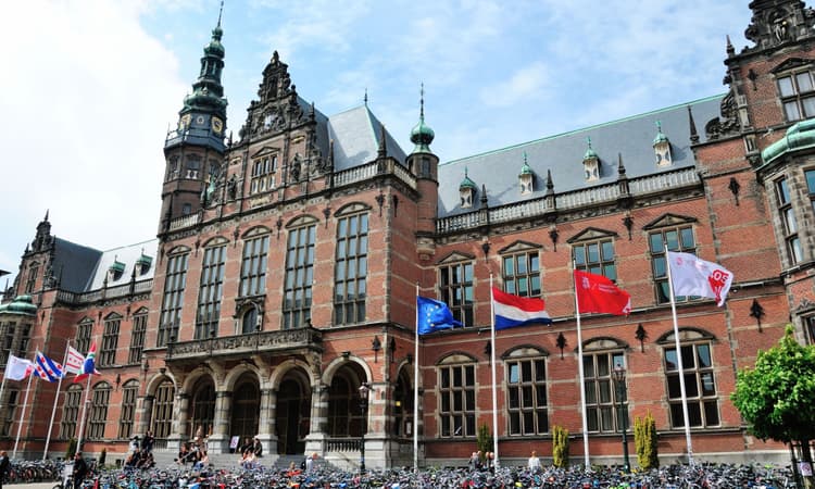 Dutch universities to limit number of English-language courses