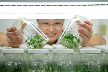 Research reveals low exposure of work by female scientists