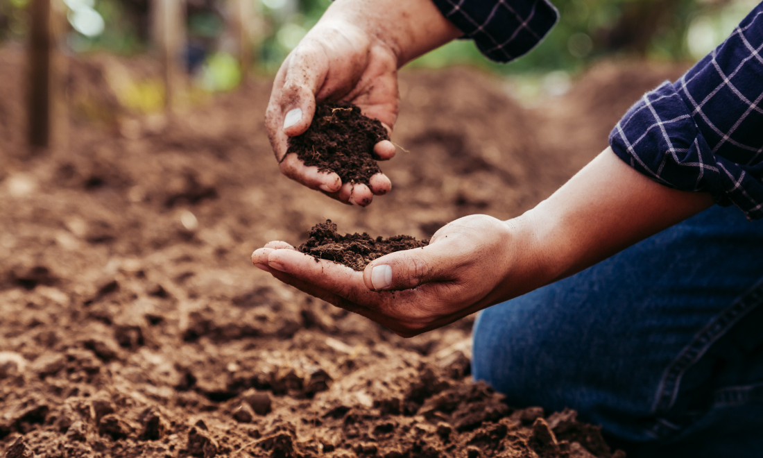 Zurich compost inspections named Switzerland's silliest law for 2024