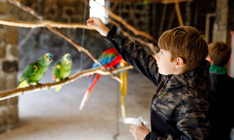 Buy a Brabant zoo and live out your animal-loving dreams