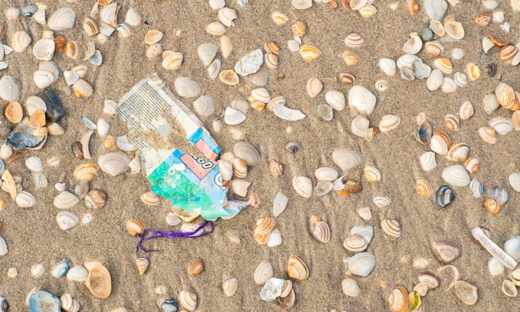 Volunteers collect over 6.000 kilograms of rubbish from Dutch beaches