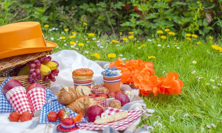 King’s Day 2020: 719 social distancing fines given out