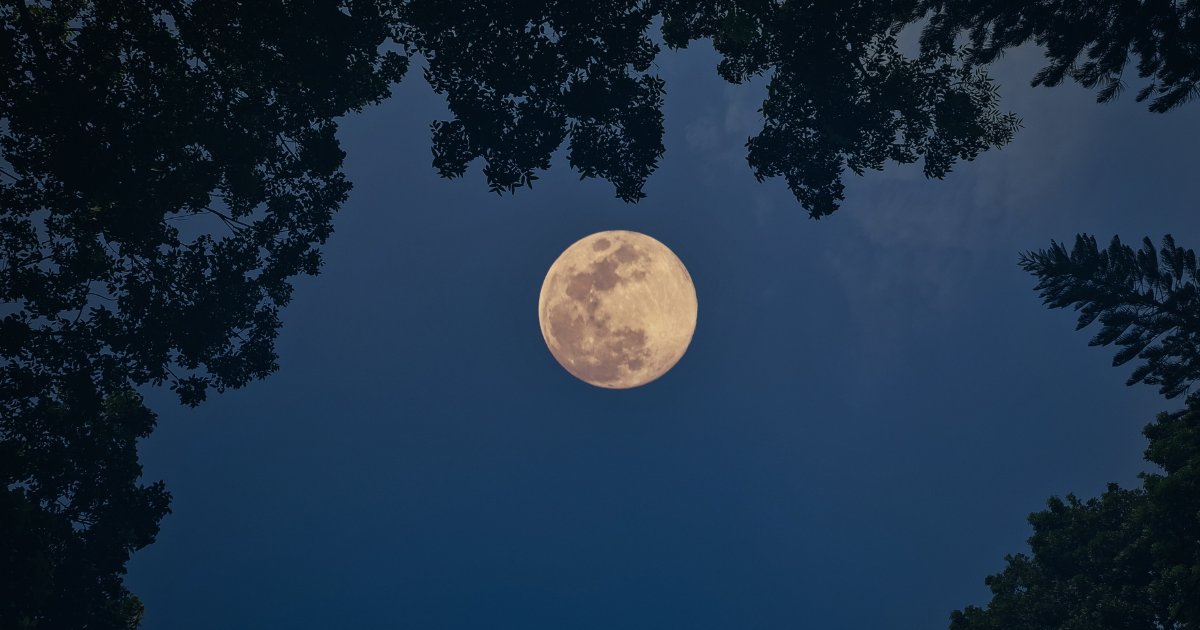 Extra special supermoon visible over the Netherlands on December 5