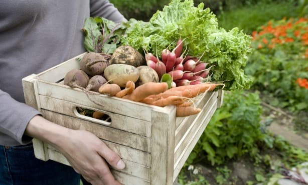 Dutch consumers less trusting of eco-friendly branding